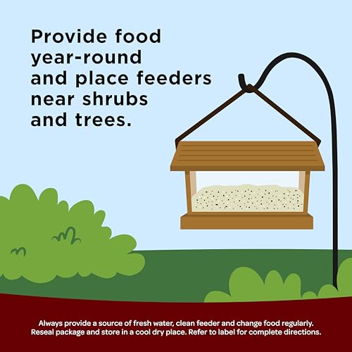 Kaytee Songbird Wild Bird Seed Food, Blended for Grosbeaks, Chickadees, Titmice, Cardinals, Nuthatches & More, 7 Pounds