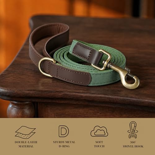 Didog PU Leather Dog Leash for Medium Dogs 5ft, Soft Padded Handle Dog Leashes, Easy to Clean, Walking and Training Leashes Faux Leather for Medium