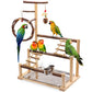 Bird Playground, Natural Wooden Parrot Stand Suitable for Small and Medium Birds, with Feeding Cups, Swing, Chew Toys,Bird Perch Ideal for Parakeets, Budgerigars,Canaries,Conures