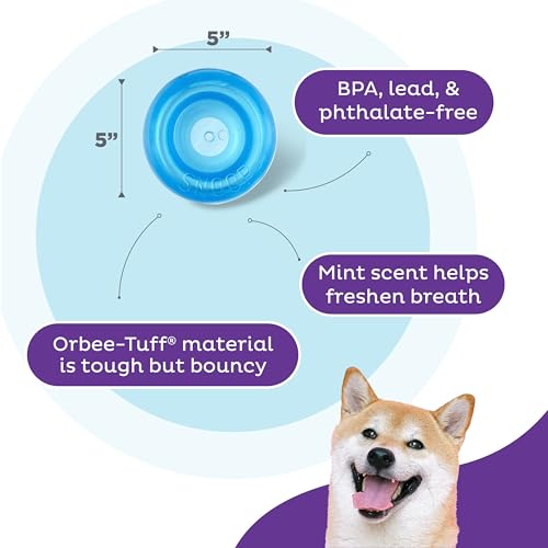 Outward Hound by Planet Dog Snoop Dog Toy – Treat‑Dispenser Puzzle Ball, Interactive Slow Feeder, Medium to Large Dogs, Bouncy & Mint-Infused, Blue, 5"
