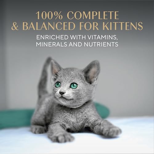 Sheba Perfect Portions Kitten Wet Food, Pate Cat Food Wet Entree, Chicken Recipe, 2.6 oz. Twin-Pack Trays (24 Count, 48 Servings)