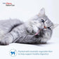 INABA Churu for Cats, Functional, Creamy Lickable Purée Cat Treat for Indoor Care and Hairball Control, 0.5 Ounces Each, 24 Tubes (4 per Pack), 2 Flavor Tuna and Chicken Variety Pack