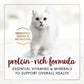 Purina Fancy Feast Tender Beef Feast Classic Grain Free Wet Cat Food Pate - (Pack of 24) 3 oz. Cans