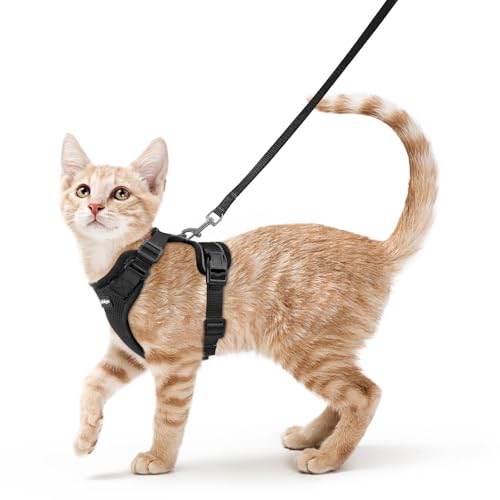 rabbitgoo Cat Harness and Leash for Walking, Escape Proof Soft Adjustable Vest Harnesses for Cats, Easy Control Breathable Reflective Strips Jacket, Black, XS