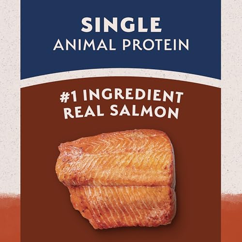 Natural Balance Limited Ingredient Adult Dry Dog Food - Balanced Nutrition for Adult Dogs - Grain-Free, Soy-Free Recipe - Limited Ingredient Formula