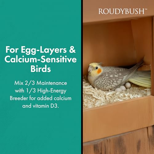 RoudyBush Daily Maintenance Food for Birds - Scientifically Formulated Bird Feed - Bird Food Pellets w/Corn, Wheat, Soy & More - Nutritious & Healthy Feed for Birds (Small, 22oz)