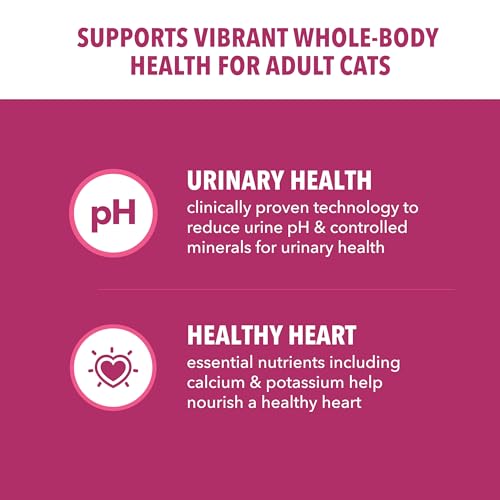 IAMS Proactive Health Adult Urinary Tract Healthy Dry Cat Food with Chicken, 22 lb. Bag
