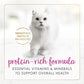 Purina Fancy Feast Gravy Lovers Chicken Feast Pate in Wet Cat Food Gravy - (Pack of 24) 3 oz. Cans