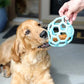 JW Pet HOL-ee Roller™, Dog Toy Puzzle Ball, Natural Rubber, Large (5.5” Inch Diameter), Blue