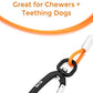 Mighty Paw Dog Leash - Anti Biting Pets Leashes - Chew Proof Metal Cable - Ideal for Large Dogs and Teething Puppies - Braided Cord with Padded