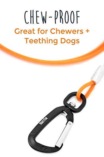 Mighty Paw Dog Leash - Anti Biting Pets Leashes - Chew Proof Metal Cable - Ideal for Large Dogs and Teething Puppies - Braided Cord with Padded