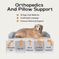 MEKIY Orthopedic Washable Dog Bed with Bolster for Medium to Large Dogs | Pillow Support for Neck Relief, Egg Crate Foam, Waterproof Liner, Anti-Slip