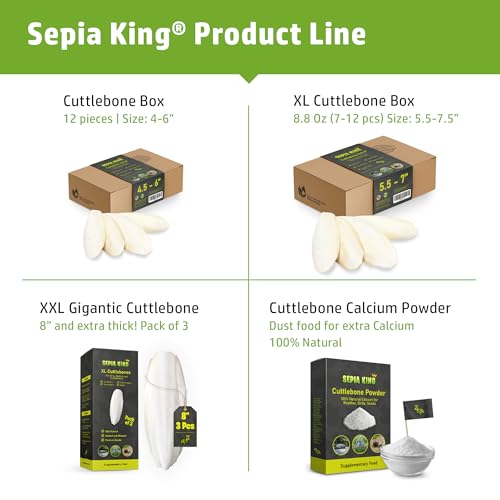 Medium - 100% Natural Calcium Supplement - Premium Cuttlebone Perfect for Birds, Tortoises, Snails, Reptiles - 12 Pack