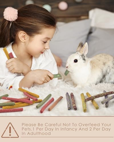 Bissap 72 PCS Rabbit Chew Sticks, Natural Timothy Hay Pumpkin Sugar Beet Carrot Strawberry Rose Dahlberg Daisy Forget-me-not Flower Treat for Bunny Chinchilla Guinea Pig Hamster Small Pet Molar Snack
