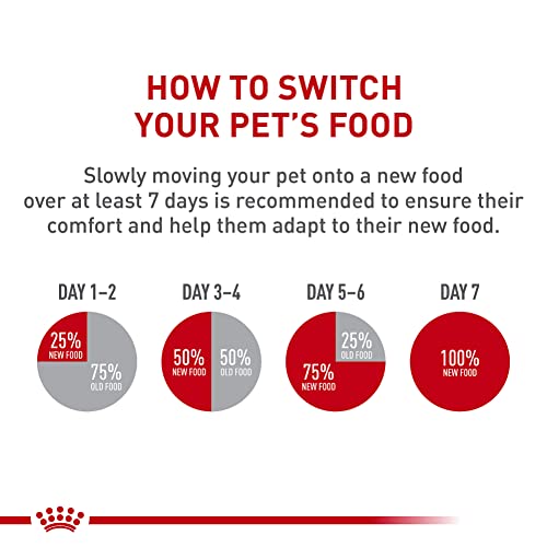 Royal Canin Feline Breed Nutrition Maine Coon Adult Dry Cat Food, 6 lb Bag