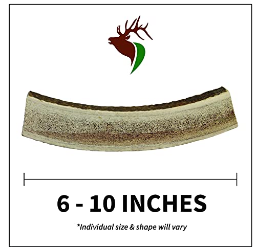 Elkhorn Premium Chews – Elk Antlers for Dogs, X Large (6-10") Split, 1 Pack, All Natural Dog Chew for X Large Dogs, Premium Naturally Shed Antler