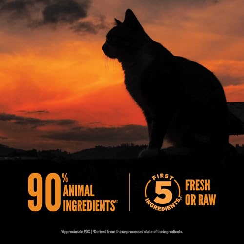 ORIJEN Wild Reserve Dry Cat Food Free-Run Chicken & Wild-Caught Fish Recipe 6.5lb Bag