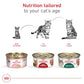 Royal Canin Feline Health Nutrition Adult Instinctive Adult Thin Slices in Gravy Cat Food, 3 oz (Pack of 24)