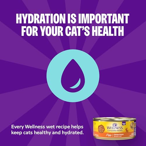 Wellness Complete Health Pate Variety Pack Kitten Canned Wet Cat Food, Natural, Protein Rich, Grain Free, Whitefish and Chicken Recipes, 3 oz, Pack of 12 Cans
