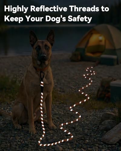 Joytale Long Leash for Dog with Removable Padded Handle, Heavy Duty Lead for Large Medium Dogs,15FT/30FT/50FT/65FT Reflective Training Leash for