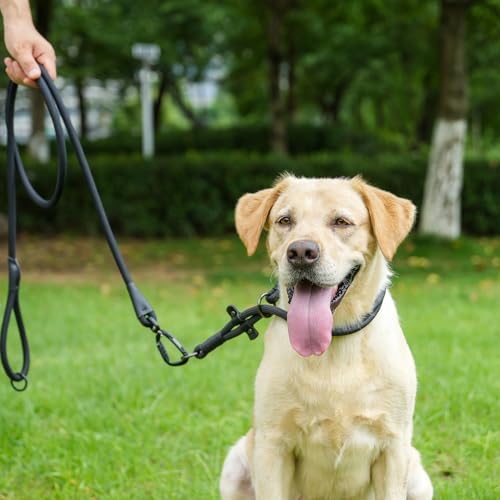 Rope Dog Leash, 6 Foot Heavy Duty Dog Leash with Aviation Aluminum Auto Locking Carabiner, Strong Nylon Pet Lead for Small, Medium, Large Dogs