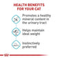 Royal Canin Feline Care Nutrition Urinary Care Adult Thin Slices in Gravy Cat Food, 3 oz (Pack of 12)