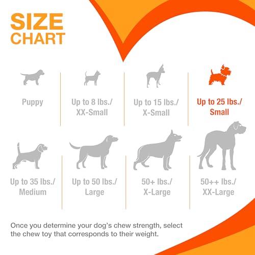 Nylabone Lobster Power Chew Toy for Dogs, Dog Toys for Aggressive Chewers, Filet Mignon Flavor, Small Dogs - Up to 25 Ibs, 1 Count