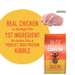 Tiki Cat Born Carnivore High Protein, Indoor Health, Chicken and Turkey Meal Recipe, Grain-Free Baked Kibble to Maximize Nutrients, Dry Cat Food, 3 lb. Bag