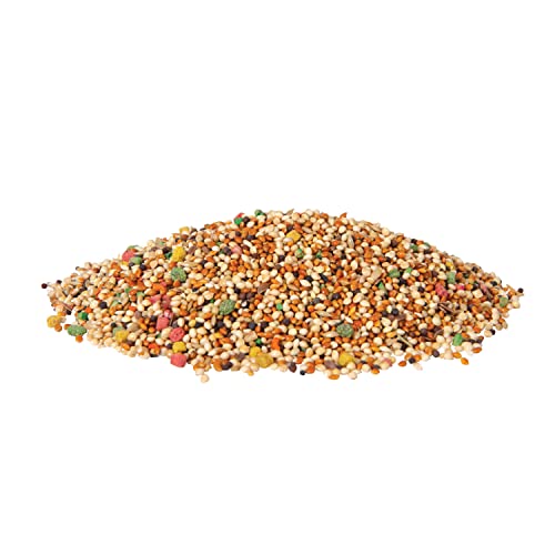 Wild Harvest Universal Blend for Small Birds, 10 lb Bag, Fortified Nutrition