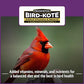 Pennington Pride Songbird Nut & Fruit Blend, Wild Bird Seed for Outside Feeders, Advanced Nutrition Formula for Health, Bird Food, 10-lb. Bag