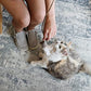 OurPet's Play-N-Squeak Teathered & Feathered Play Wand Cat Toy, for All Breed Sizes