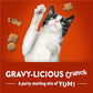 Purina Friskies Party Mix Gravy-Licious Crunch Chicken and Gravy Flavors Cat Treats - 30 oz Canister