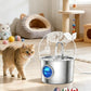 Cat Water Fountain Advanced 304 Stainless Steel 2.2L/74oz with Detachable Tank, Easy to Clean, Automatic Pet Fountain Quiet Cats Water Dispenser, Perfect for Cats Dogs Indoor