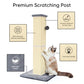32" Tall Cat Scratching Post for Large Indoor Cats & Kittens, Cat Scratcher with Extra Large Stable Base and Natural Sisal, Sturdy Cat Scratch Post to Protect Furniture & Couch, Grey