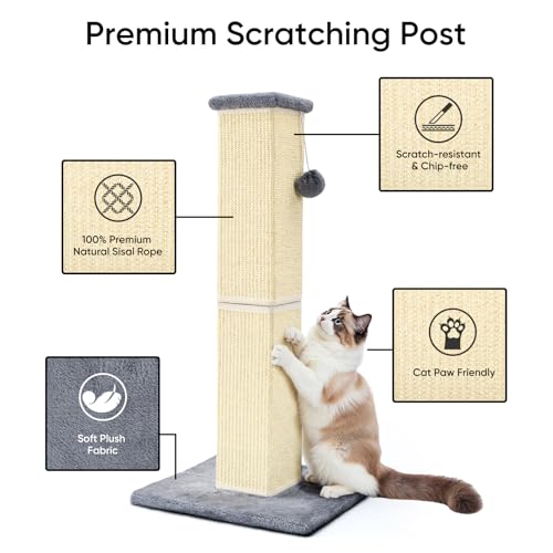 32" Tall Cat Scratching Post for Large Indoor Cats & Kittens, Cat Scratcher with Extra Large Stable Base and Natural Sisal, Sturdy Cat Scratch Post to Protect Furniture & Couch, Grey