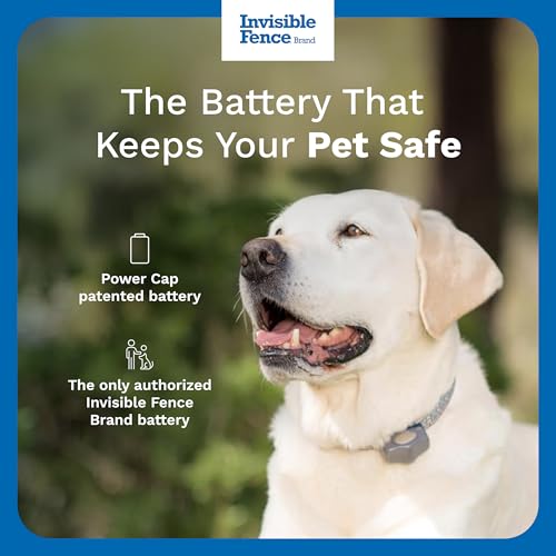 Invisible Fence Power Cap Battery - Original IFB Electric Fence Battery Replacement for Dog Collars - Long-Lasting - 2 Pack