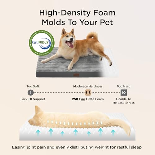 Bedsure Dog Beds Large Sized Dog- Orthopedic Pet Beds for Crate with Removable Machine Washable Cover, NOT Waterproof Egg Crate Foam Puppy Mat, Suitable for Pet Up to 50 lbs, 35x22x2.8, NOT Chewproof
