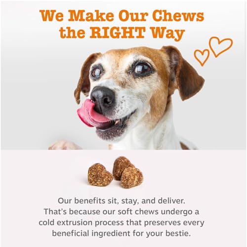 Zesty Paws Probiotics for Dogs - Digestive Enzymes for Gut Flora, Digestive Health, Diarrhea & Bowel Support - Clinically Studied DE111 - Dog