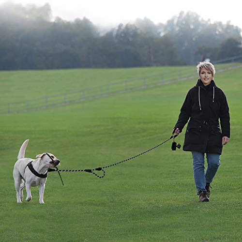 Plutus Pet Rope Dog Leash 6ft Long,Traffic Padded Two Handle,Heavy Duty,Reflective Double Handles Lead for Control Safety Training,Leashes for Large