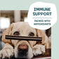 Shameless Pets Blueberry & Mint Dental Chews for Dogs, 8 Chews - Natural Dog Teeth Cleaning Treats with Fresh Breath Benefits | Grain-Free Dental