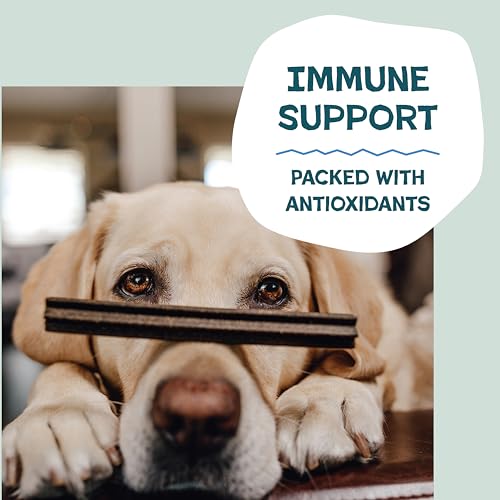 Shameless Pets Blueberry & Mint Dental Chews for Dogs, 8 Chews - Natural Dog Teeth Cleaning Treats with Fresh Breath Benefits | Grain-Free Dental