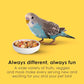 Kaytee Fiesta Parakeet Food, Nutritious and Fun Blend, Supports Skin, Feather, Digestion, Brain and Heart Health, 4.5 pounds