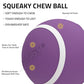 Playology Dog Toys | Squeaky Chew Ball for Dogs, Value 3-Pack | Bacon Scented Small Dog Balls | Bouncy Floating Chew Toys for Fetch