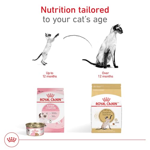 Royal Canin Feline Breed Nutrition Siamese Adult Dry Cat Food, 6 lb Bag