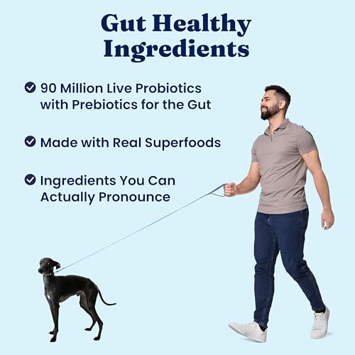 Solid Gold, Hund-N-Flocken, Dog Food Dry with Lamb, Rice and Omega 3 Fish Oil for Dogs, Probiotics, 24 LB