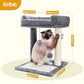 PAWZ Road Cat Scratching Post Bed, Small Cat Tree Tower with Cat Scratcher Pad Large Top Removable Bed with Play Ball Great for Kittens and Cats