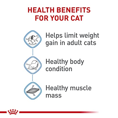 Royal Canin Feline Care Nutrition Weight Care Adult Dry Cat Food, 6 lb Bag