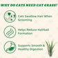 Wellix 13.05oz Cat Grass Treats with Catnip & Salmon - Healthy Cat Treats for Indoor Cats - Hairball Control & Digestive Support - Kittens Training Snacks for Teeth Cleaning