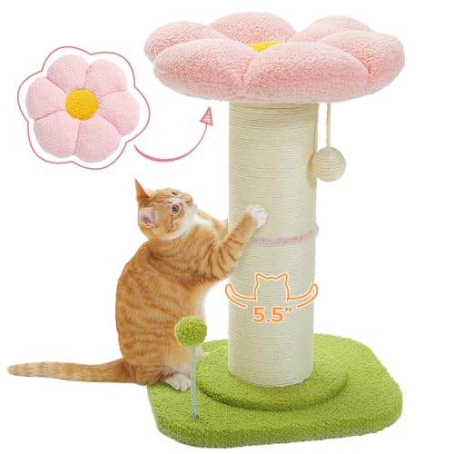 PEQULTI Flower Cat Scratching Post, Small Cat Tree, Scratcher for Indoor Cats with Super Thick Scratching Post [Dia=5.5''], Removable Flower Bed, Cat Scratch Post with Spring Ball, Pink