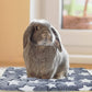 3PCS Guinea Pig Bed Soft Rabbit Bedding Cage Liner Warm Bunny Mats Pee Pads Fleece Blanket Plush Hamster Sleep Beds Ferret Squirrel Hedgehog Rat